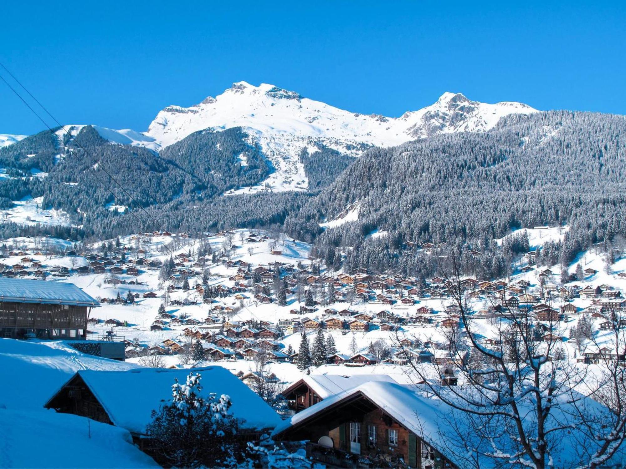 Apartment Chalet Auf Dem Vogelstein-2 By Interhome Grindelwald Eksteriør bilde