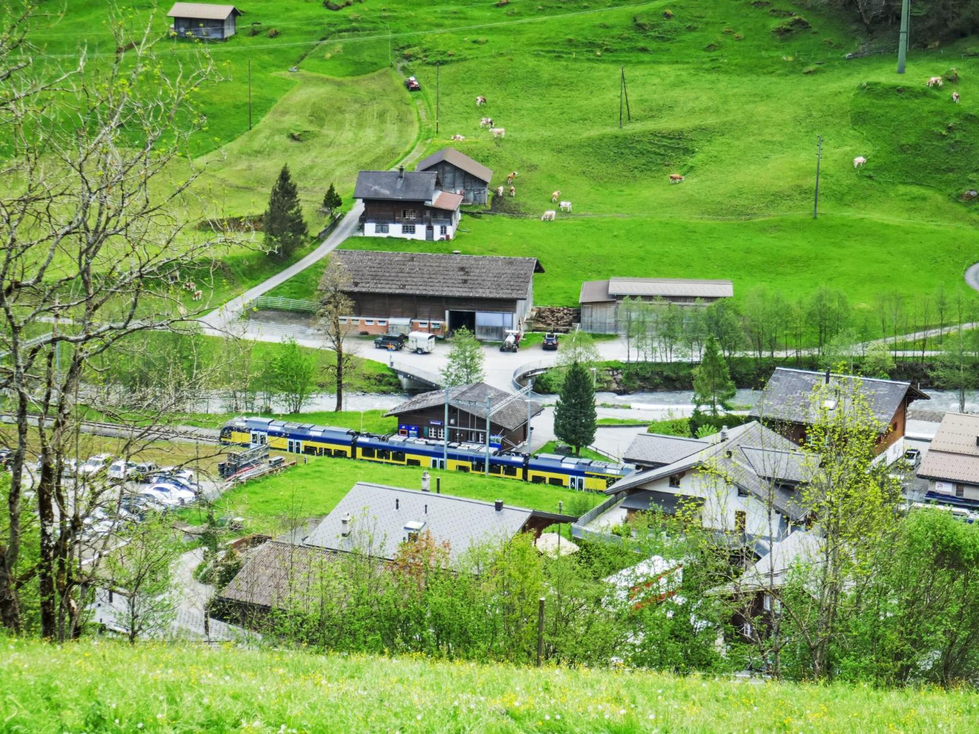 Apartment Chalet Auf Dem Vogelstein-2 By Interhome Grindelwald Eksteriør bilde