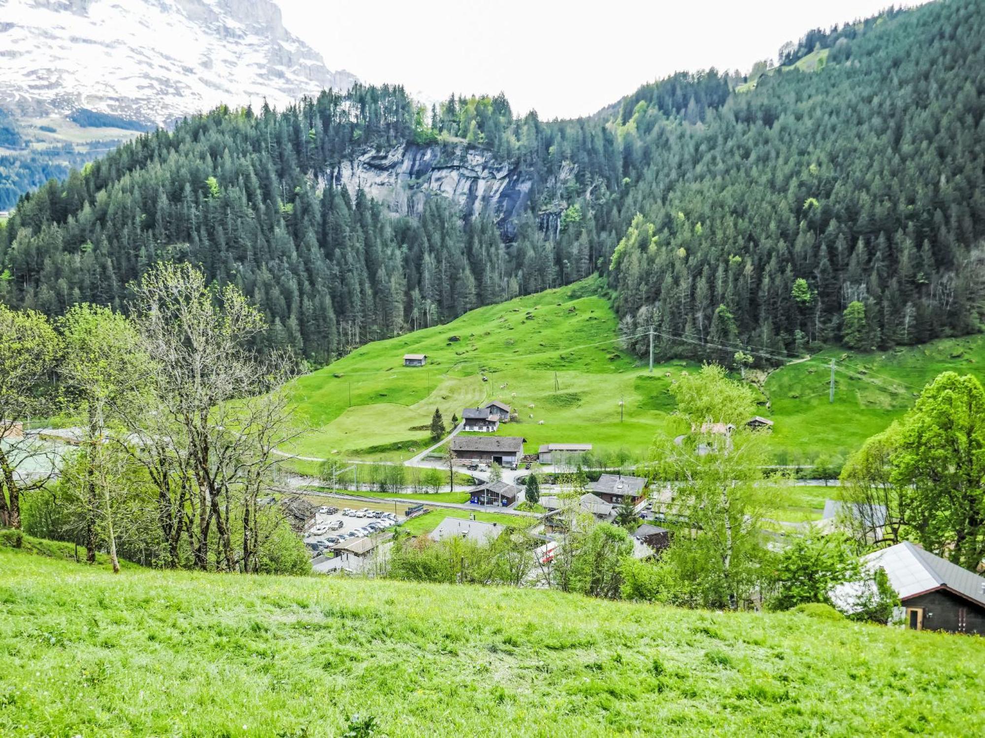 Apartment Chalet Auf Dem Vogelstein-2 By Interhome Grindelwald Eksteriør bilde
